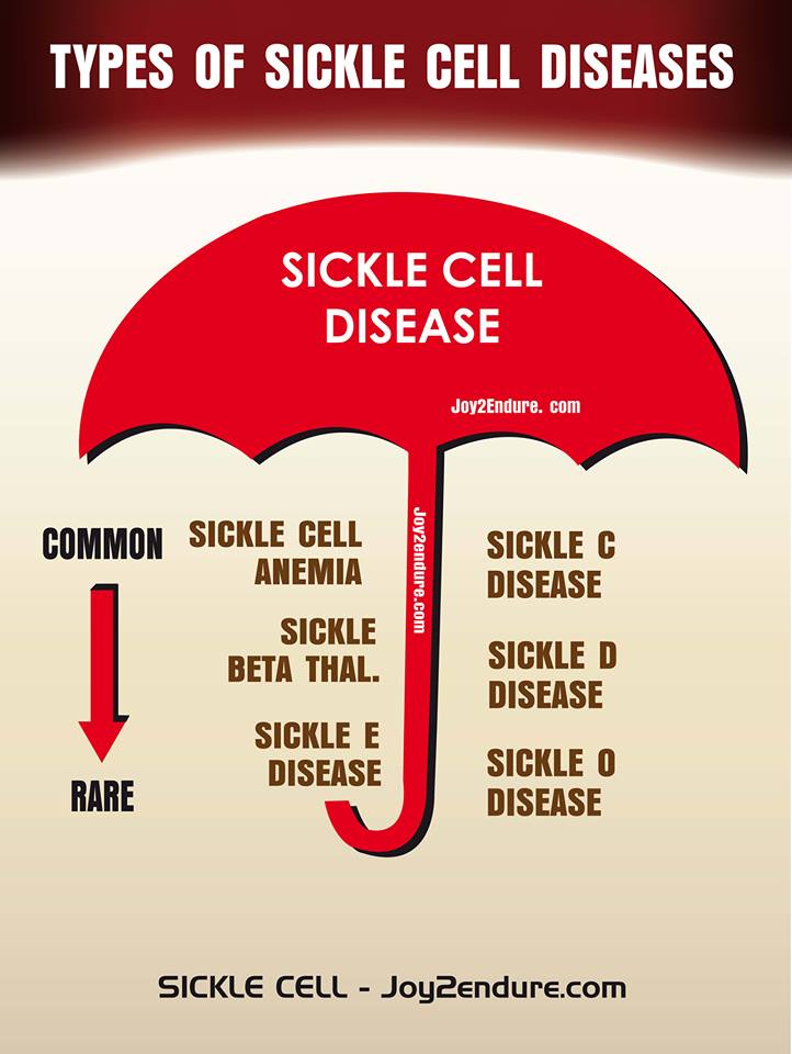 SICKLE CELL AWARENESS: Why It is Important to Know the Different Types of Sickle Cell Disorders.